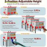 Quictent 50-80 Lbs Chicken Feeder, 3-Compartment Galvanized Metal Poultry Feeder with Adjustable Height Legs, 6 Feeding Ports No Waste Rat Proof Automatic Gravity Feeder