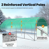 KING BIRD Premium 25x10x6.6FT Large Walk-in Greenhouse for Outdoors, Heavy Duty Galvanized Steel Frame, White