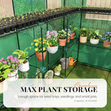 KING BIRD Premium Greenhouse for Outdoors, 84x56x77 in Walk-in Hot House with Thickened Cover, Reinforced Frame, Screen Windows & Mesh Door, 3 Tiers 20 Shelves for Outside Garden Seedlings