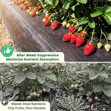 KING BIRD 3FTx50FT Weed Barrier Landscape Fabric, 3.2oz Heavy Duty Woven Ground Cover Geotextile Fabric for Flower Garden Bed, Driveway, Pathway, Gravel & Yard Weed Control Mat
