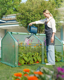 Quictent Mini Greenhouse for Indoor Outdoor, Portable Quick-Setup Waterproof Green House, 71x36x36in, Green