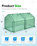 Quictent Mini Greenhouse for Indoor Outdoor, Portable Quick-Setup Waterproof Green House, 71x36x36in, Green