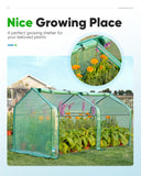 Quictent Mini Greenhouse for Indoor Outdoor, Portable Quick-Setup Waterproof Green House, 71x36x36in, Green