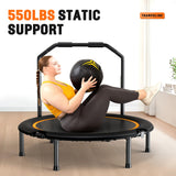 Zupapa 48in Foldable Rebounder, 550LBS Fitness Trampoline with Durable Bungees, Adjustable Handl, Stable & Quiet Exercise Rebounder for Adults, Great Exercise Trampoline for Home/Gym Workout
