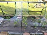 Quictent 71" x 36" x 36" Mini Greenhouse-Transparent