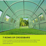 Quictent Upgraded 20' x 10' x 7' Walk-in Greenhouse (14 Stakes)-Green